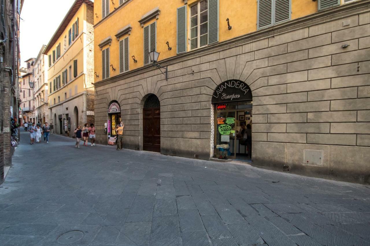 Terme 53